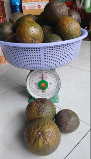 2026 03 06 15 57 59 png