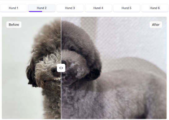 2026 04 28 17 46 09 png