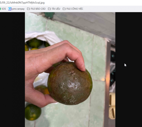 2025 09 22 18 29 42 png