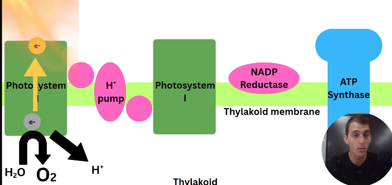 2026 04 26 18 27 14 png