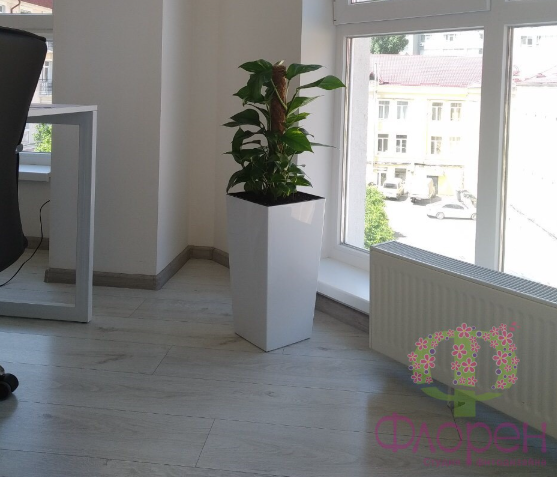 2026 03 09 10 25 15 png