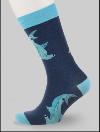 2026 03 03 16 34 46 png