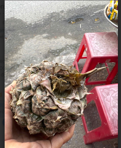 2025 11 13 19 56 29 png