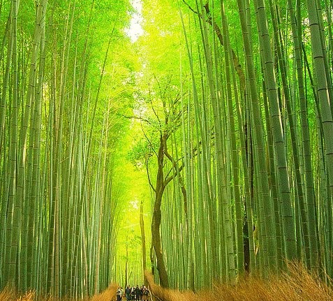 2025 10 31 11 30 11 png