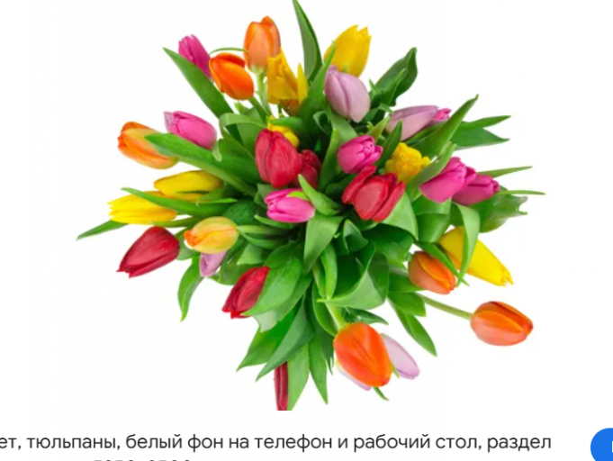 2026 04 10 09 13 15 png