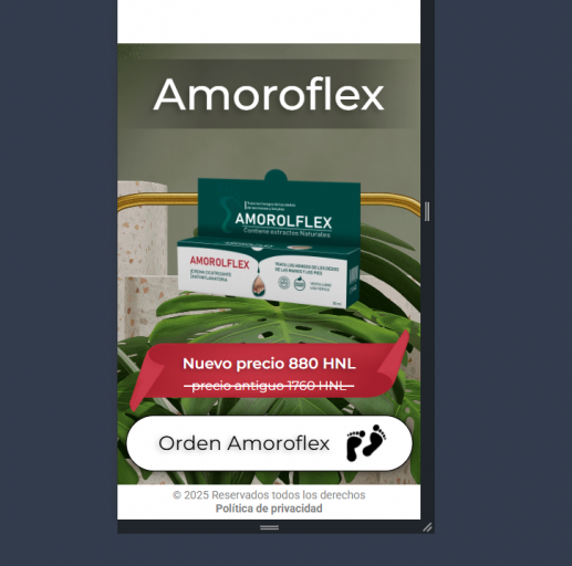 2025 11 12 14 28 34 png