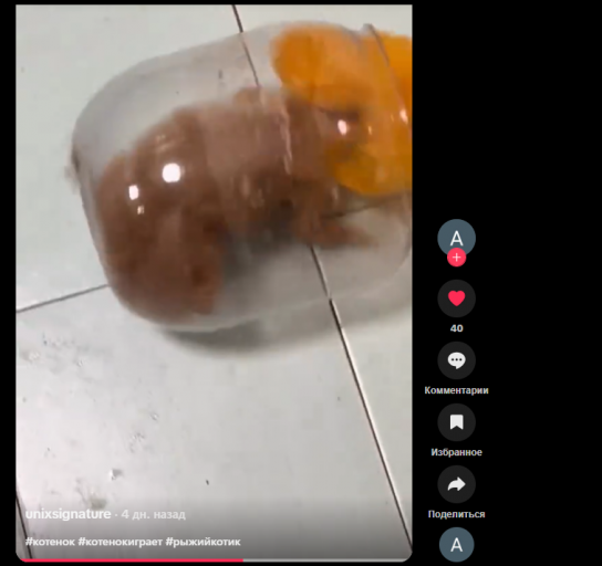 2025 12 24 04 17 47 png