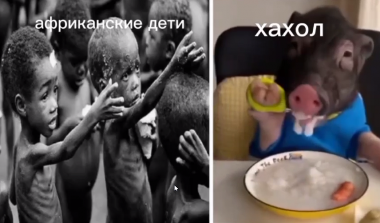 2026 09 16 20 27 44 png