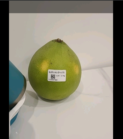 2026 06 08 20 03 42 png