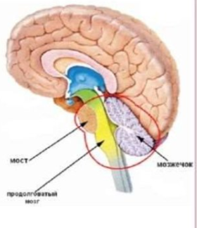 2026 04 09 11 02 01 png