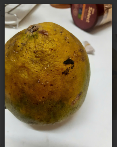 2025 12 21 11 44 01 png