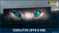 thumb 82a70c134d38ad303ce091fb2f73ce71 png