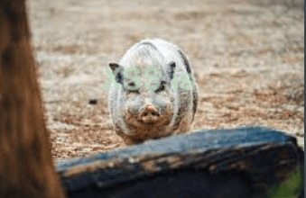 2025 11 19 14 50 png