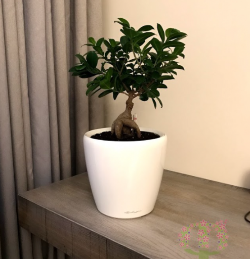 2026 03 10 12 05 41 png