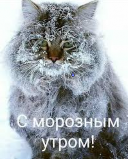 2026 01 16 11 46 22 png