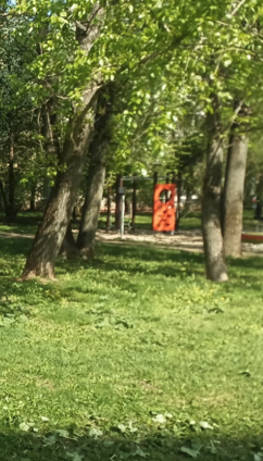 2025 05 29 15 17 51 png