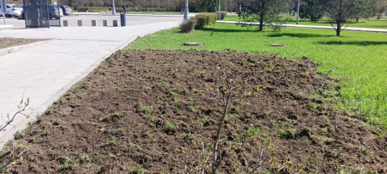 2026 04 23 14 15 36 png