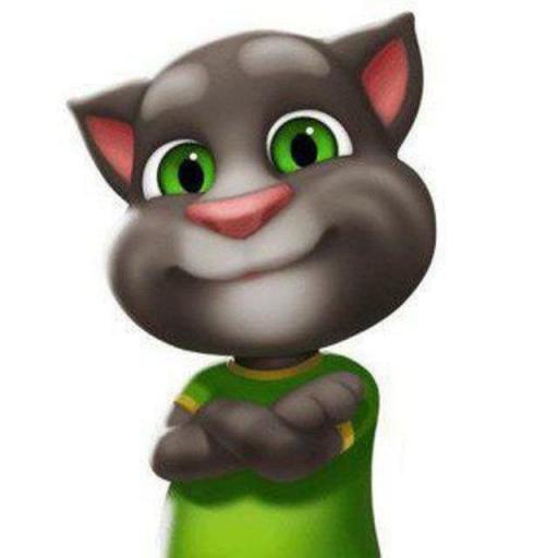 photo 2025 11 02 21 13 48 jpg