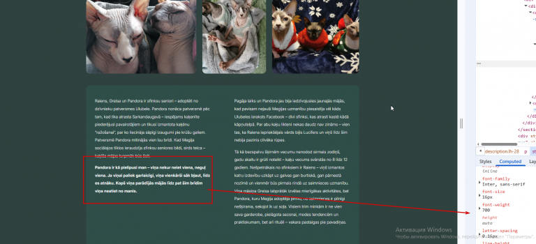 2026 04 09 10 52 36 png