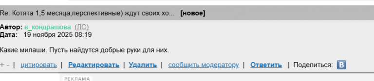 2025 11 19 06 20 32 png