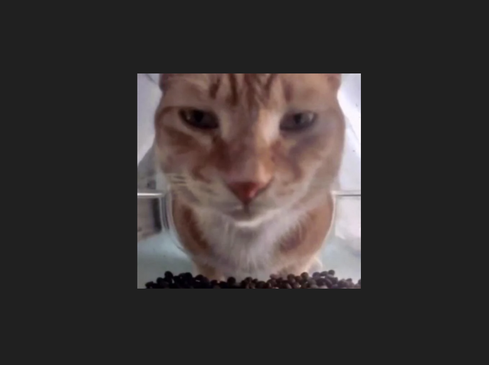 2025 10 04 18 42 09 png