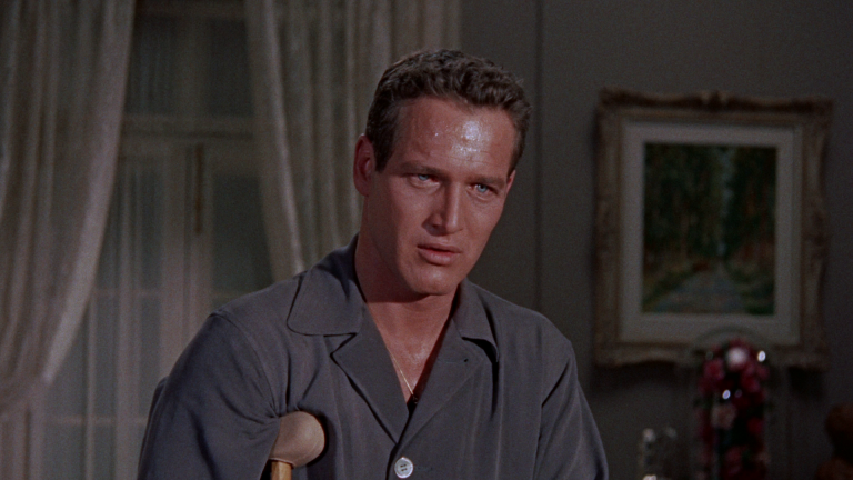 776c36588d73adad3ada65b27320c316 png