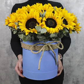 2026 04 03 15 23 26 png