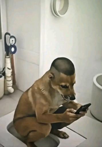 Screenshot 20260515 201855 TikTok jpg