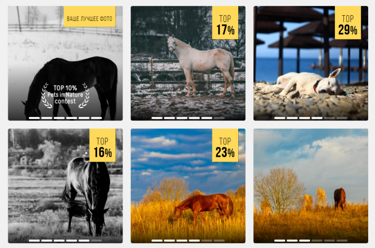 2025 11 23 13 50 23 png