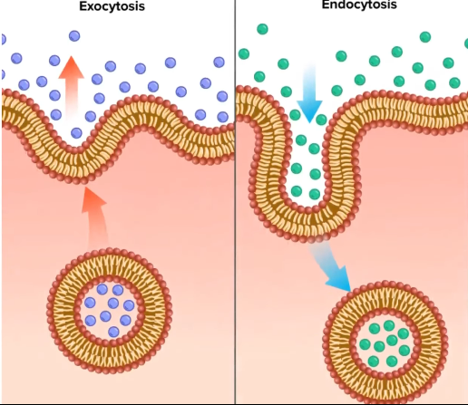 2026 04 24 23 26 16 png