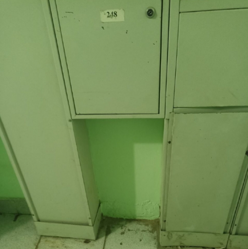 2025 06 11 13 37 55 png