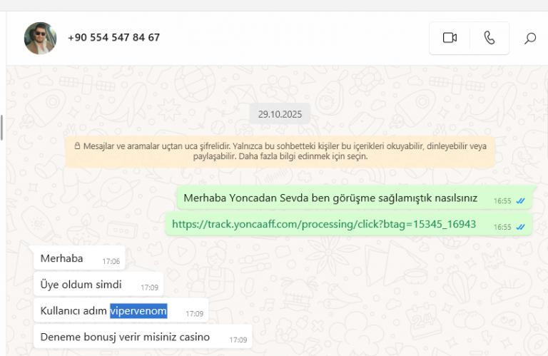 2025 11 19 13 41 08 png