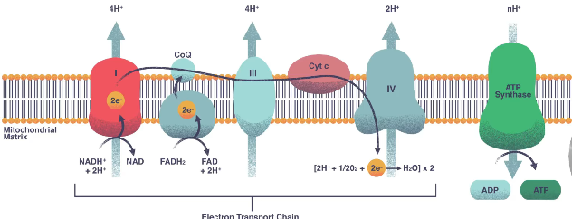 2026 04 26 18 47 14 png