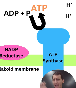 2026 04 26 18 30 45 png