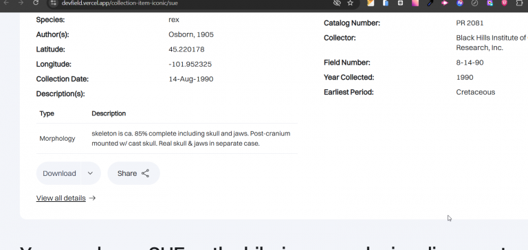 2026 02 13 18 28 00 png