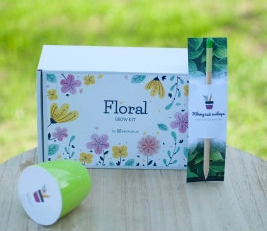 2026 02 24 11 37 57 png