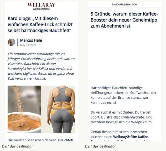 wellaray pages jpg