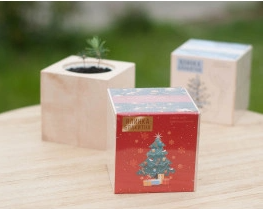 2026 02 23 10 52 27 png