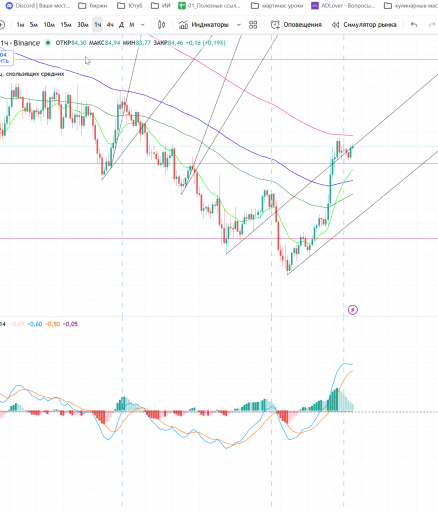 2026 02 14 04 51 40 png