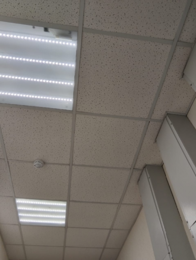 2025 06 05 11 37 01 png