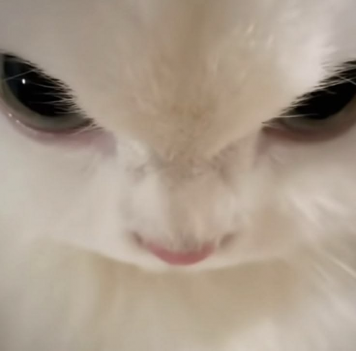 3213 png