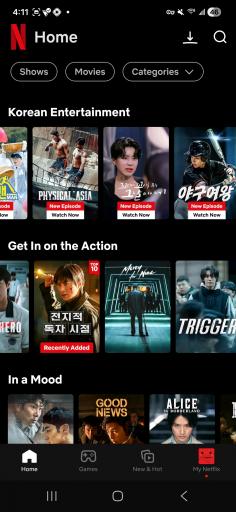 Screenshot 20251217 161117 Netflix jpg