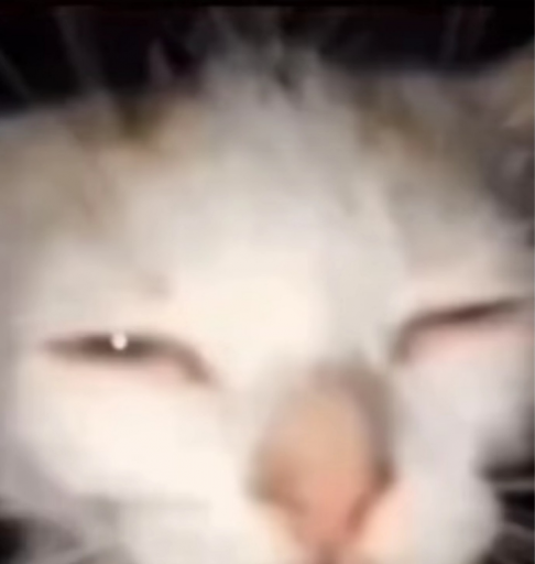 2025 07 24 14 01 17 png