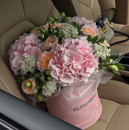 2026 04 08 12 00 24 png