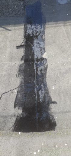 2025 07 31 13 46 00 png