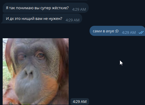 2025 09 24 04 29 31 png