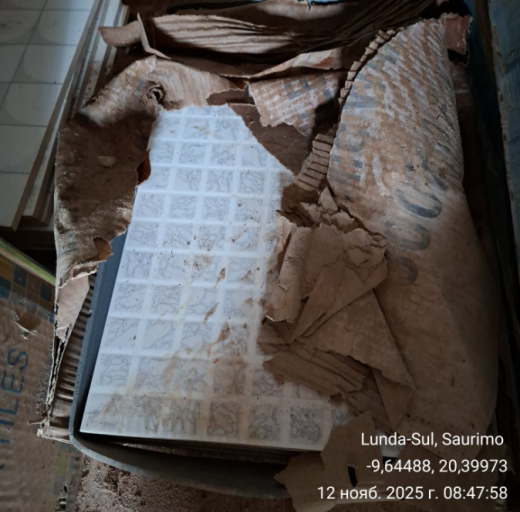 2025 11 14 15 25 07 png