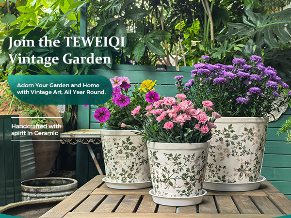 绿色手机端A   M 01 jpg