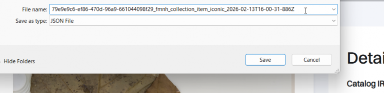 2026 02 13 18 00 42 png