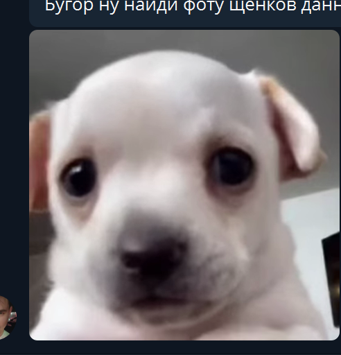 2025 11 17 22 48 42 png